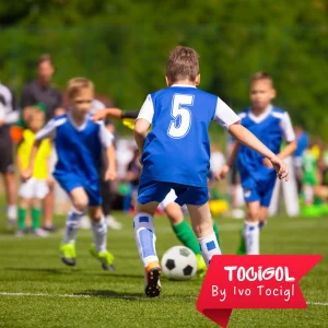 Plan Trimestral Tocigol